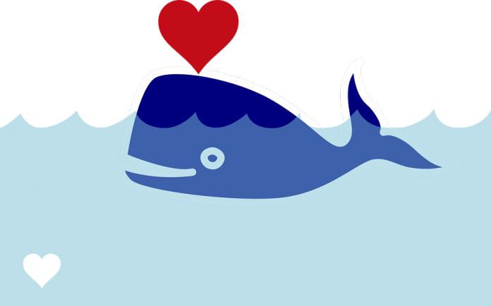 Leostickers