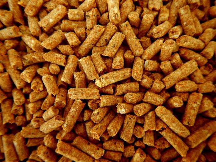 Caldaia-a-pellet