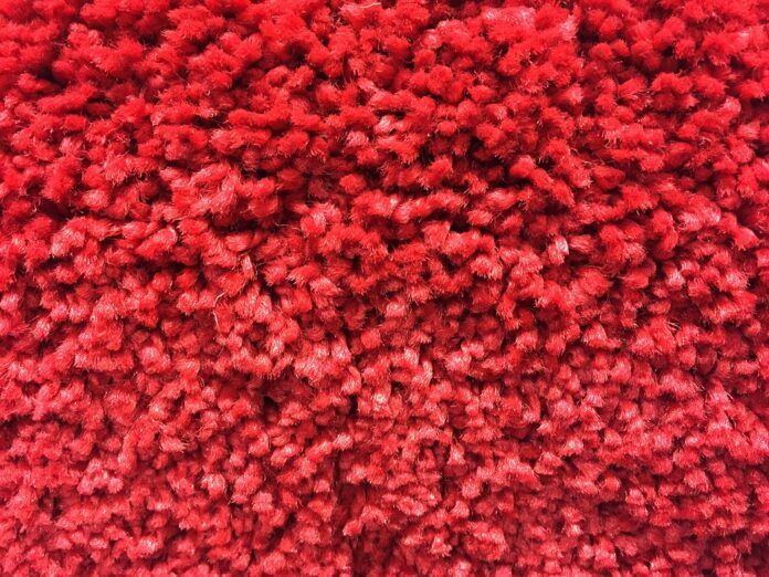 nuova moquette